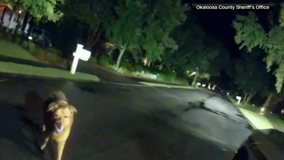 Sequence 01 00 00 01 09 still001 68e6e7bb8cf1b.jpg