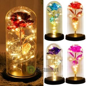 Gifts for Wife Women Wife Gifts for Her Valentine Girlfriend Gifts Birthday Gift