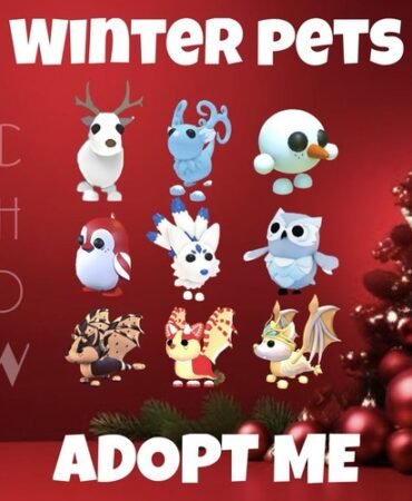 Popular Winter Picks 2019-2024 | Christmas Update | Cheapest + Fastest!