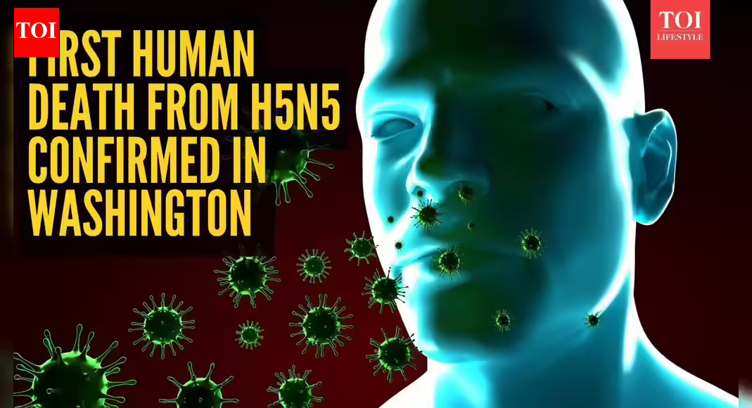 Washington man dies after H5N5 infection: What it is and prevention tips explained |