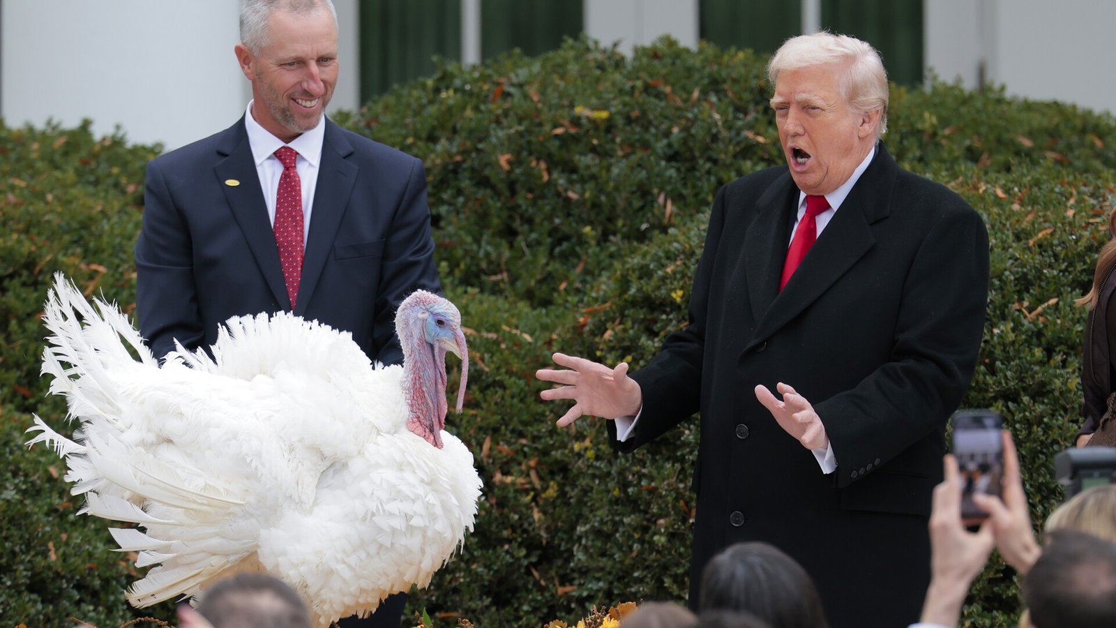 589615739_1173116194790343_5277588530636217065_n.jpg US President Donald Trump has pardoned two turkeys as part of an annual Thanksgiving tradition.