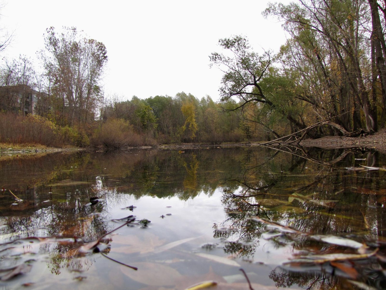 The need to be perfect in an imperfect world – The Central Trend