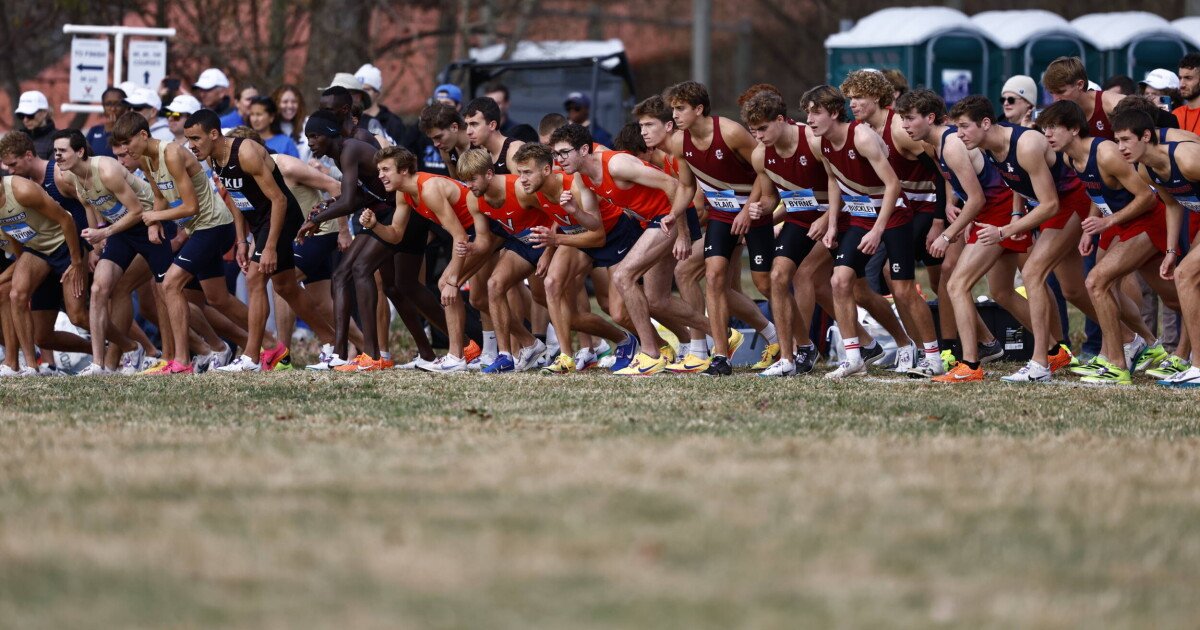 Cavaliers Set for 2025 NCAA Cross Country Championship
