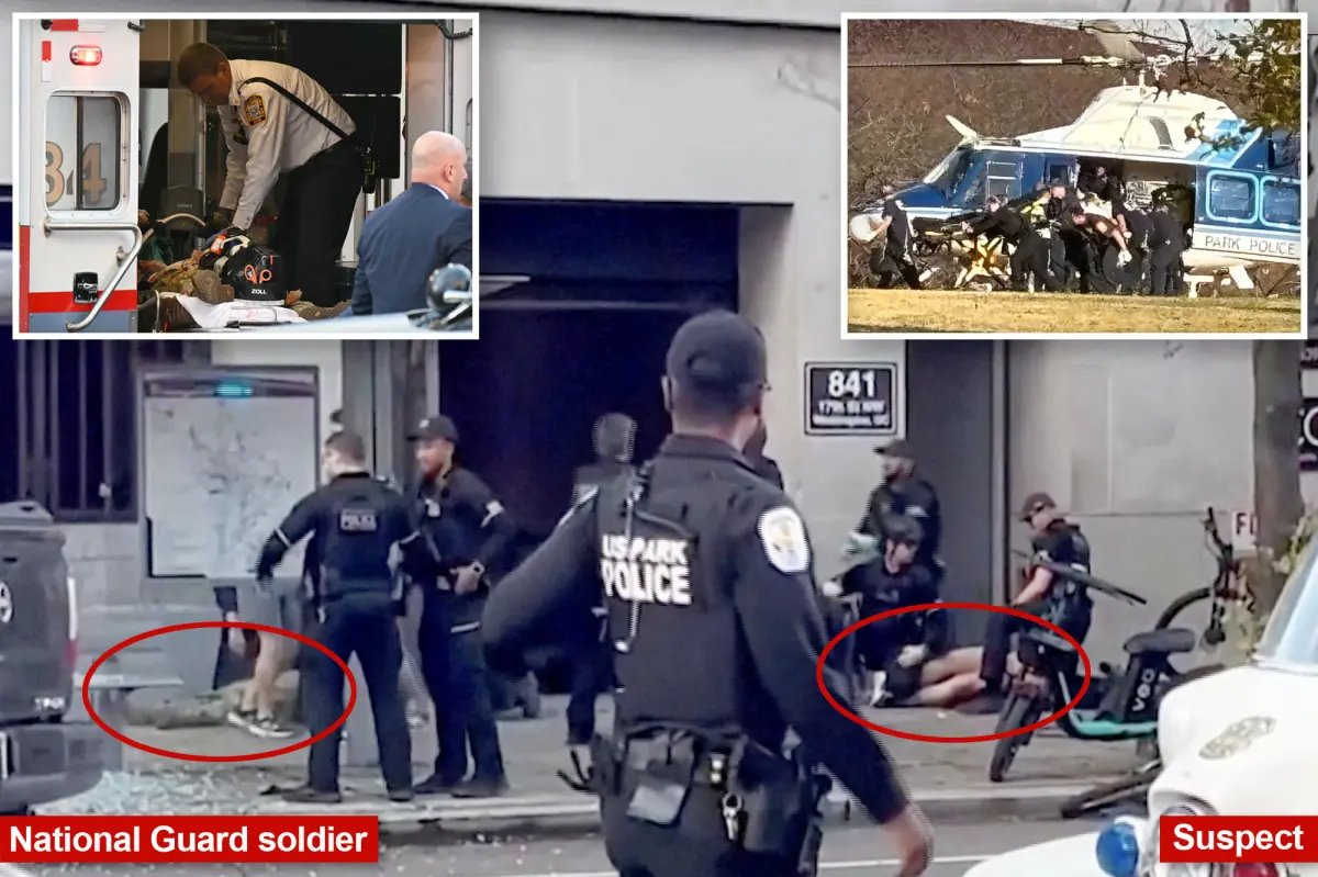 Two National Guard troops shot near White House in ‘ambush’-style attack, suspect now in custody