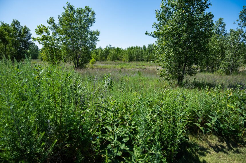 Quantum Developers’ Environmental Cleanup Plans For Old South Works Steel Site Approved By State