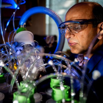 Biodegradable Electronics May Harm the Environment