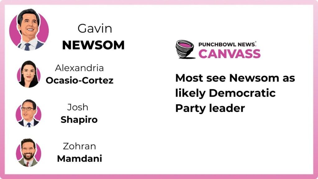Newsom seen as the most likely leader of the Democratic Party