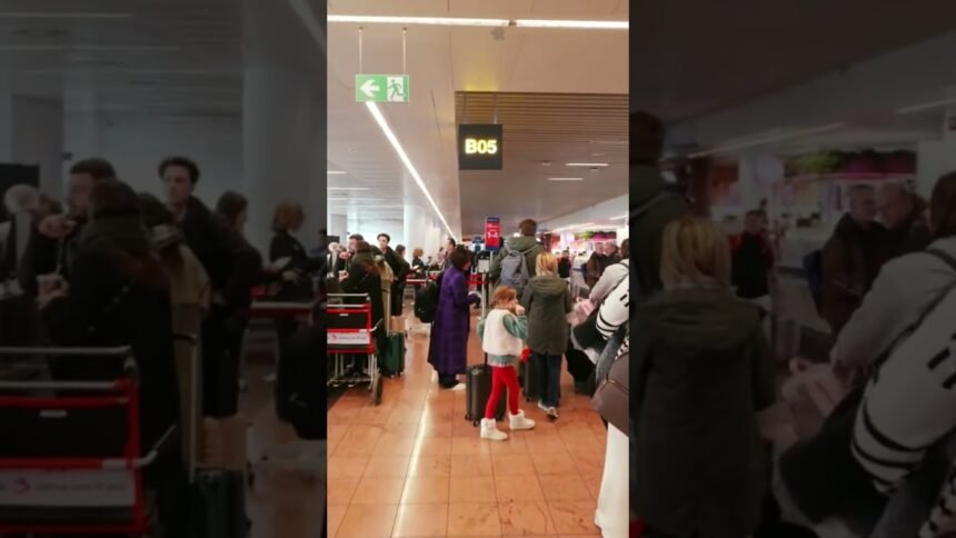 2025 U.S. Politics: Key Races and Controversies