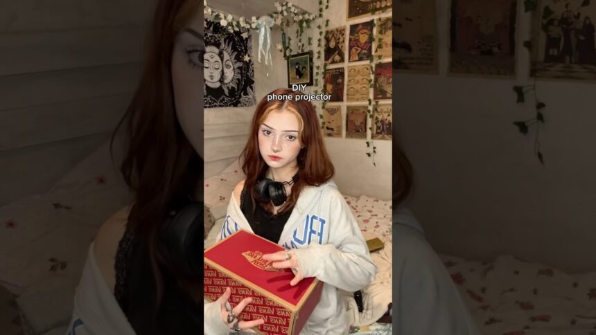 #diy phone projector!