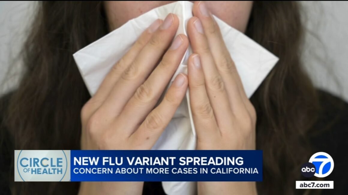 New flu variant hits Southern California, raises concerns among public health experts