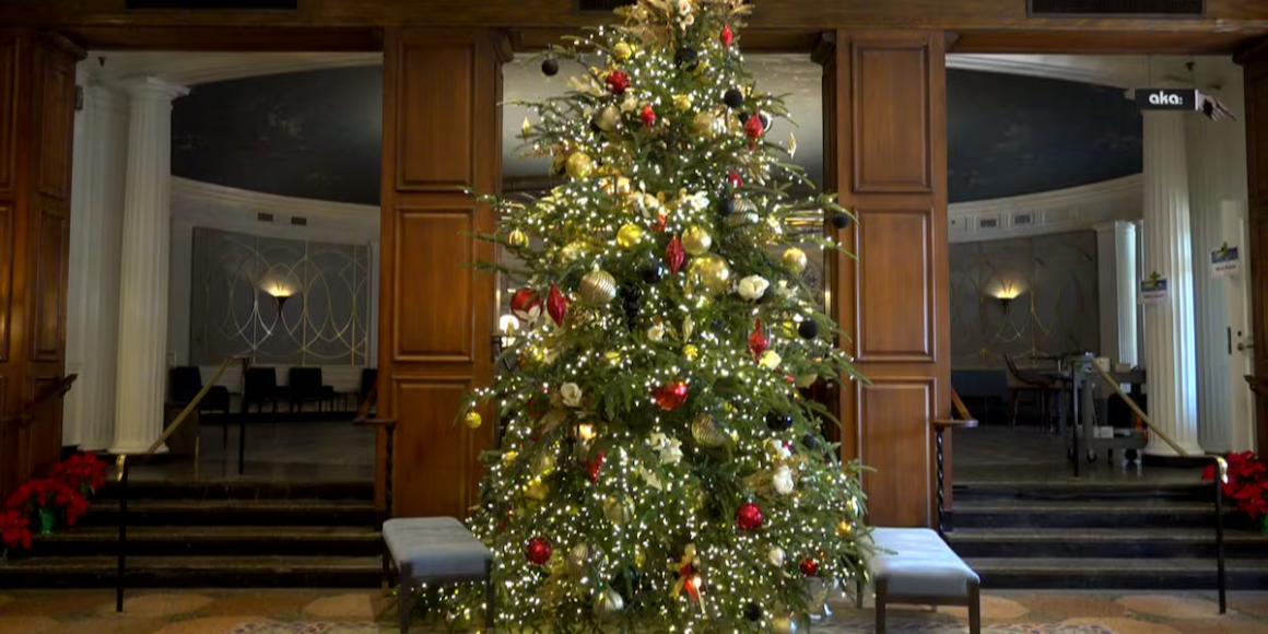 4SCFPP2ZOBBCXNEGYPOBL27ZAU.png Real or artificial? Your Christmas tree choice impacts the environment
