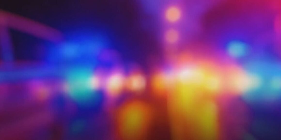 U.S. NEWS: A man in California is accused of killing a pregnant 6-year-old dog by tying her …