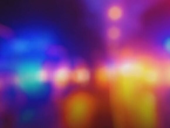 U.S. NEWS: A man in California is accused of killing a pregnant 6-year-old dog by tying her …