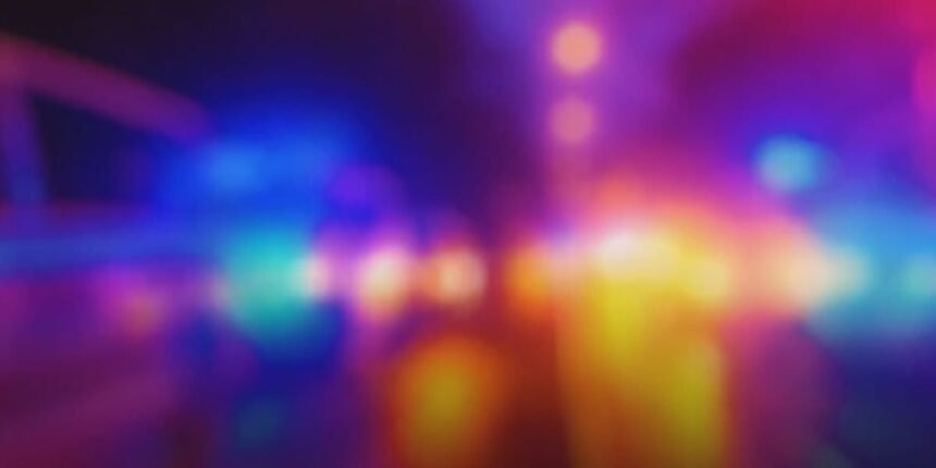 U.S. NEWS: A man in California is accused of killing a pregnant 6-year-old dog by tying her …