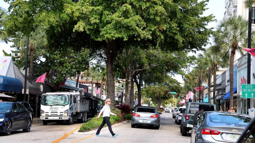 Florida city eyes lofty goal: Plant 276,000 trees – Tampa Bay Times