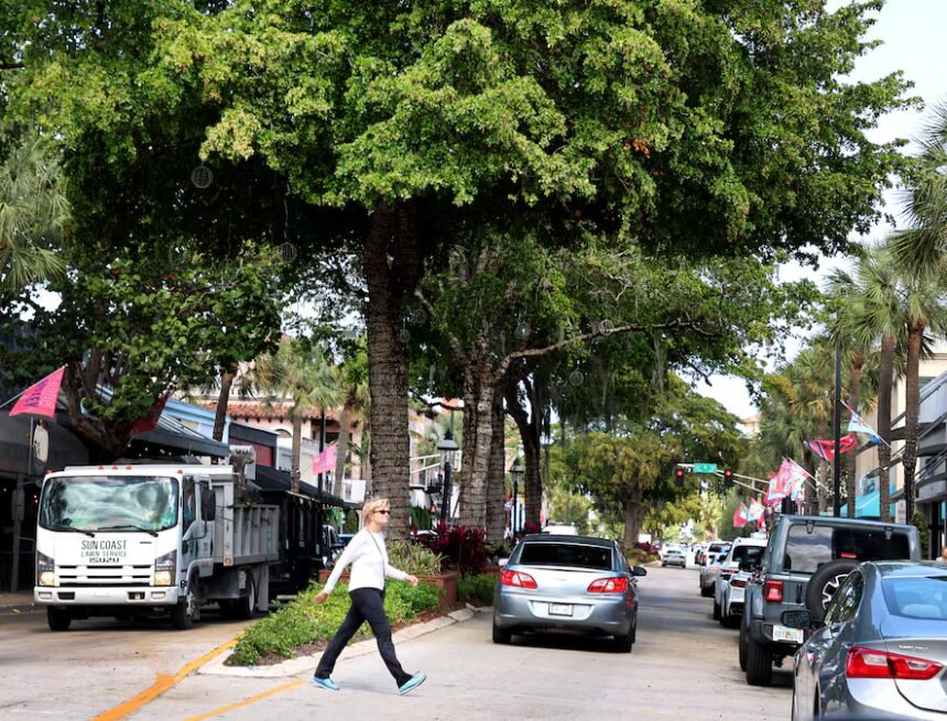 Florida city eyes lofty goal: Plant 276,000 trees – Tampa Bay Times