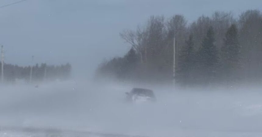 Environment Canada predicts another day of snow squalls and white outs – CTV News