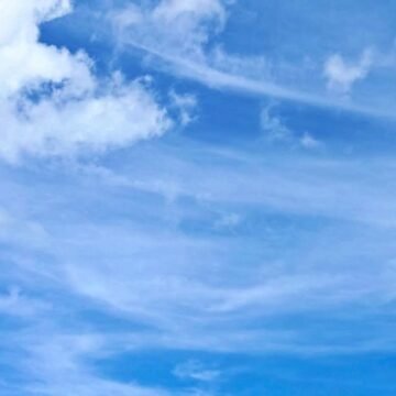 Florida     – Instagram