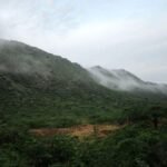 A look back at 2025—and what’s in store for 2026—from the Global Economy and Development program