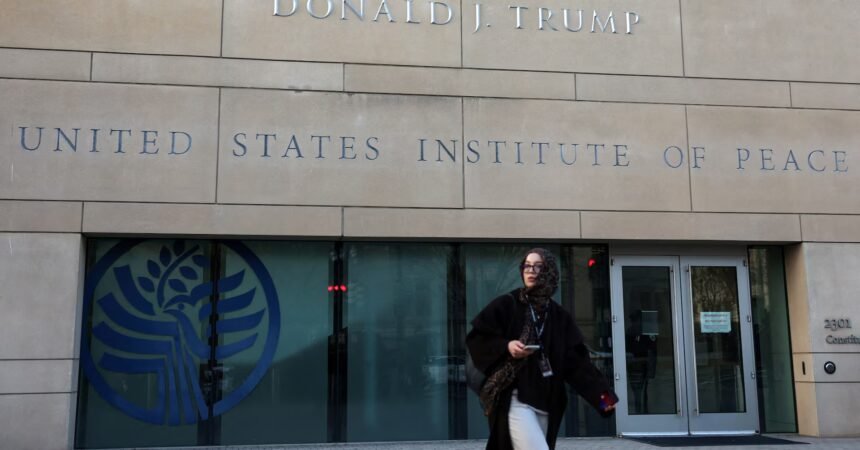 From battleships to buildings: Trump’s name is everywhere