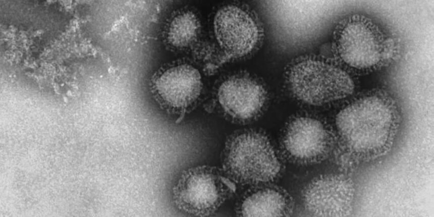 ZJ73RJNV2NF25KJKEAEGOUS7VA.jpg Doctors warn of surging flu cases as 1,900 Americans have died, including children