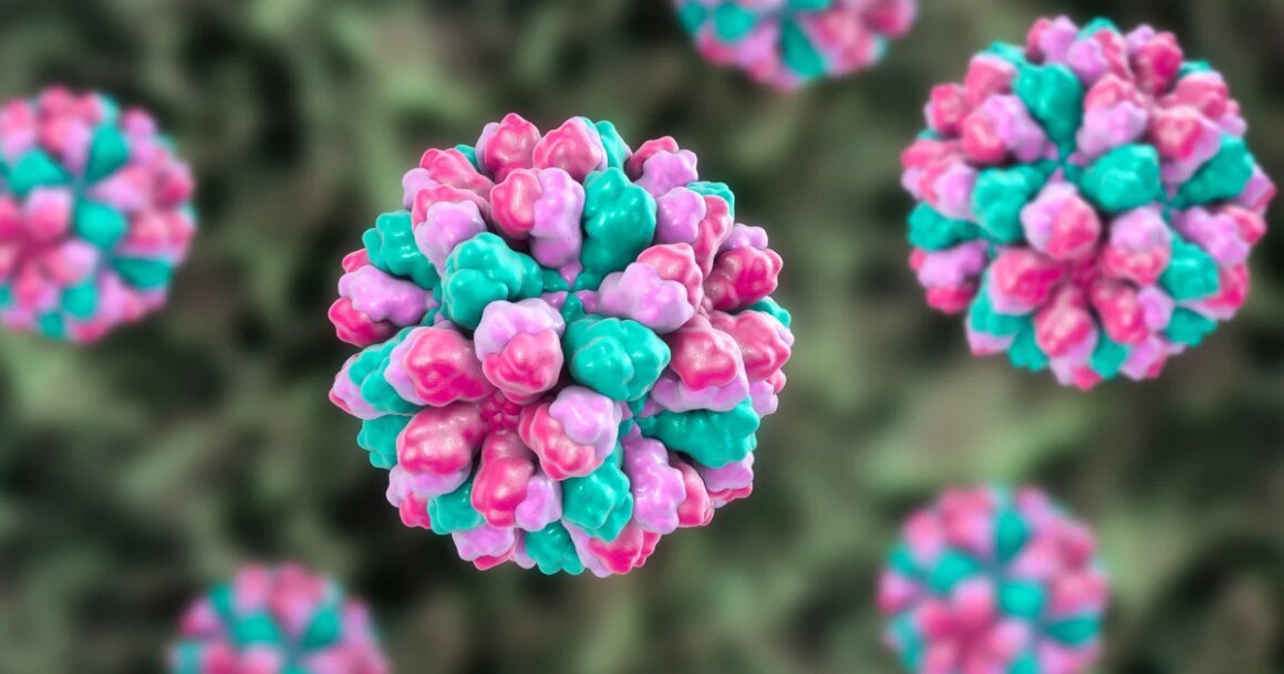 Norovirus thrives in winter. Here are the signs and symptoms, and how you can stop the spread.