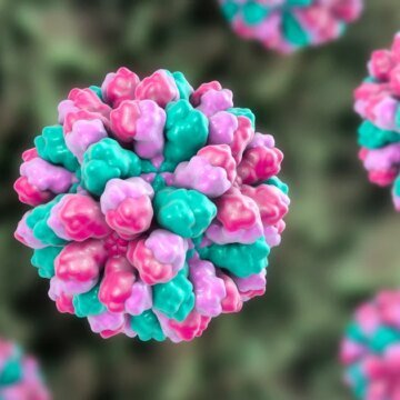 Norovirus thrives in winter. Here are the signs and symptoms, and how you can stop the spread.