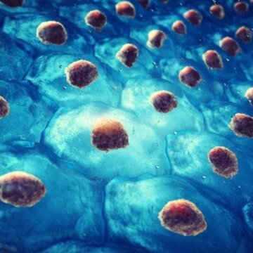 CRISPR-based Cellgorithm technology ushers in a new era of cell programming