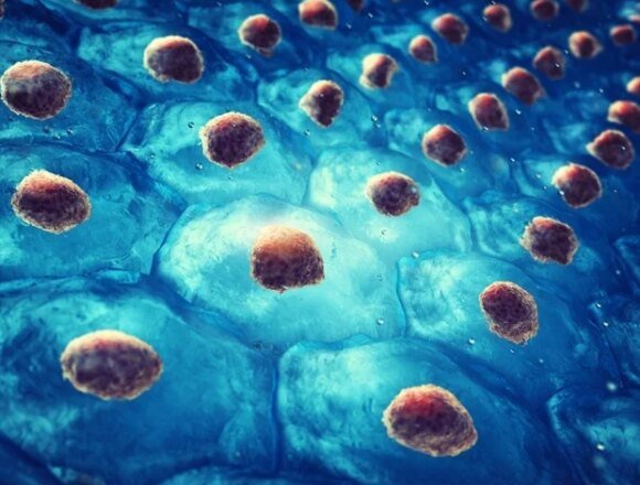 CRISPR-based Cellgorithm technology ushers in a new era of cell programming