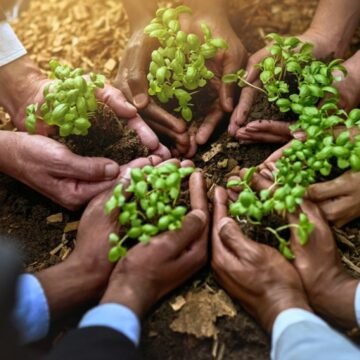 USMCA Environment Committee Advances Trilateral Agenda