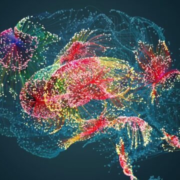 Top Neuroscience Stories of 2025