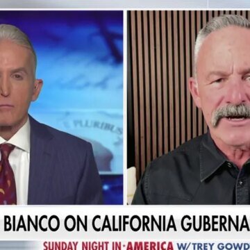 California Democrats are 'so entrenched in one-party rule' that common sense no longer …