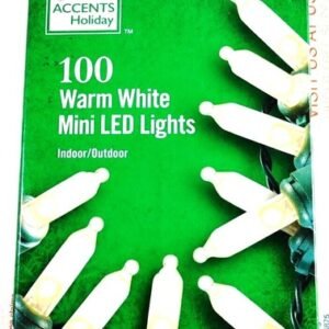 Home Accents 100 Warm White LED Mini String Lights Christmas with Green Wire NEW