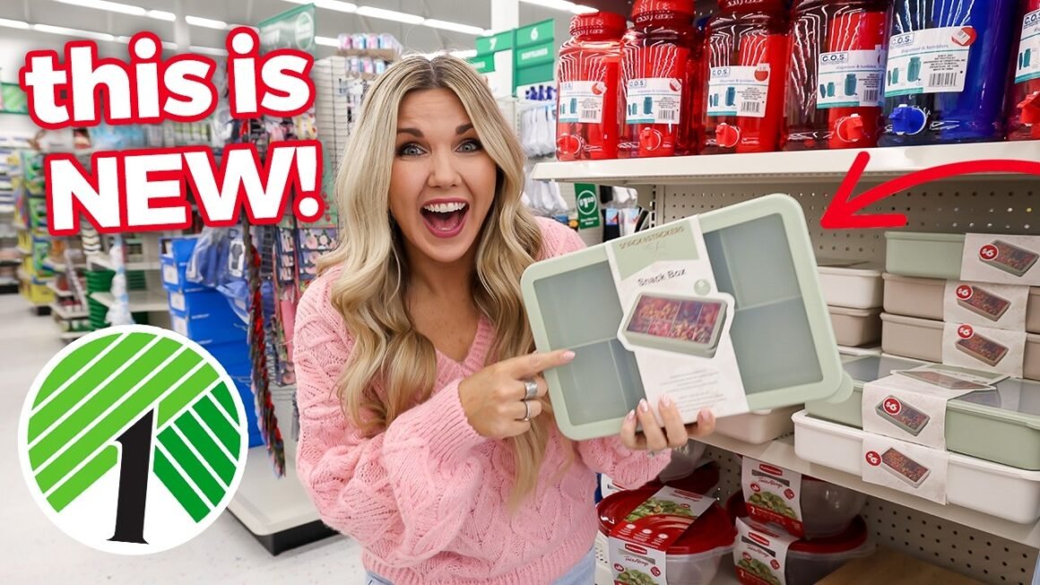 Dollar Tree Organization Everyone Will Want—Here’s Why!