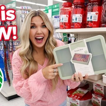 Dollar Tree Organization Everyone Will Want—Here’s Why!