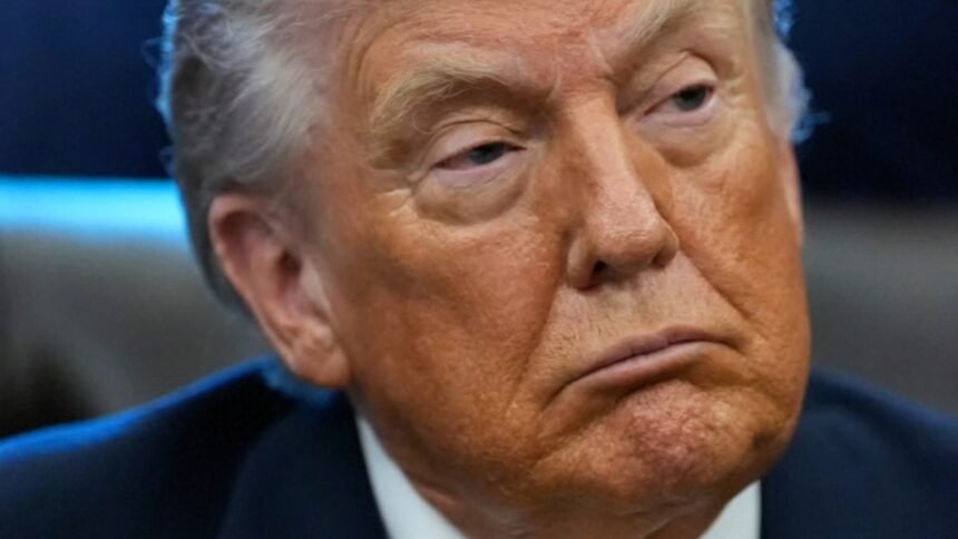 Donald Trump tariffs Greenland: Trump says 8 European countries will be charged 10% tariff for opposing US control of Greenland