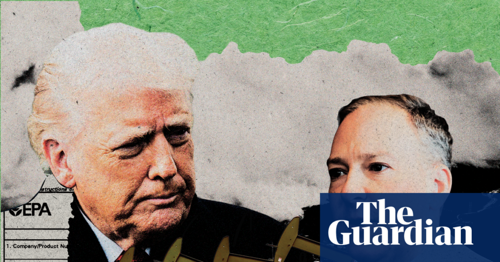 ‘Shameful’: Trump’s EPA accused of prioritizing big business over public health | Environment