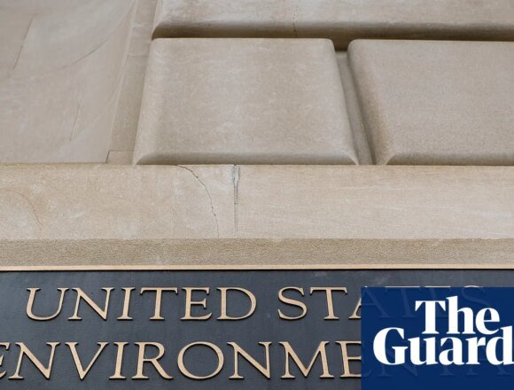 3789.jpg Health groups sue EPA over insecticide that causes testicular damage in rats | US Environmental Protection Agency