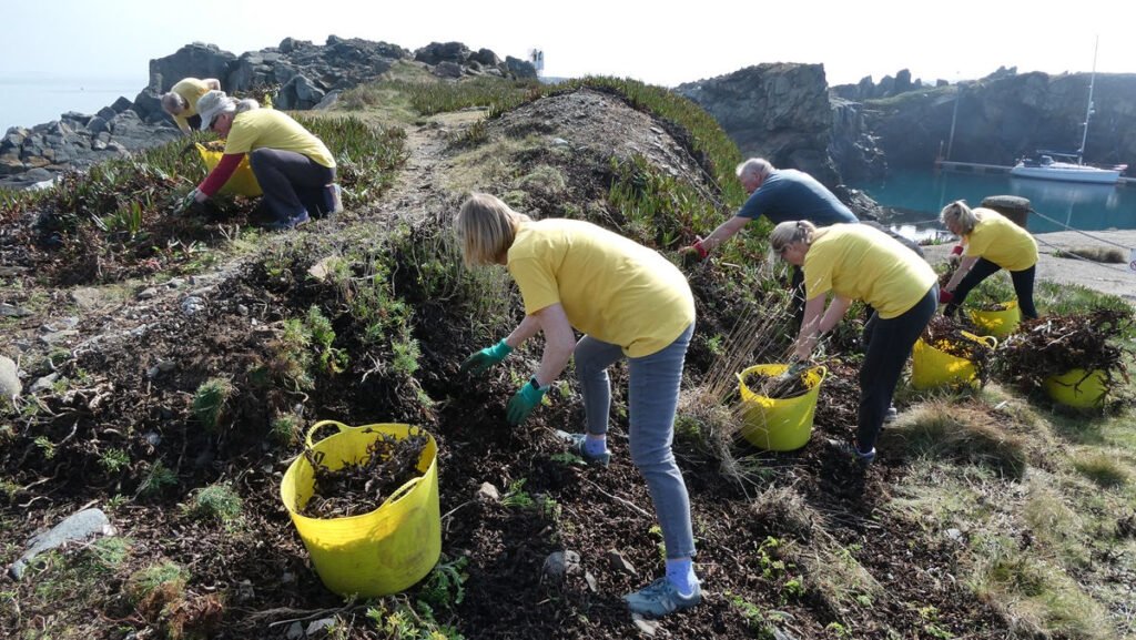Environmental projects awarded funding from Strategy for Nature Fund