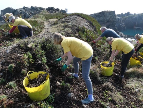 Environmental projects awarded funding from Strategy for Nature Fund