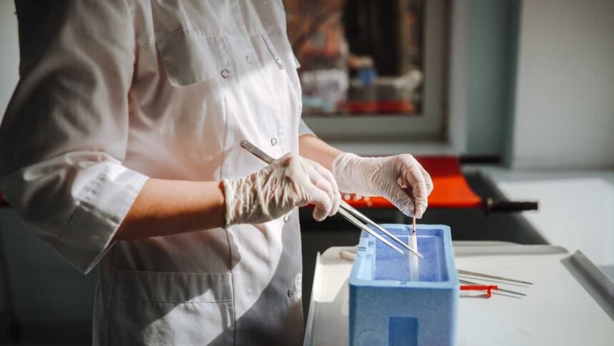 IVF clinic accused of implanting Florida mom with wrong baby IVF clinic accused of implanting Florida mom with wrong baby