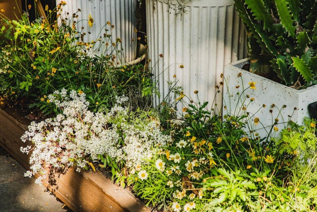 5 Garden Trends That Are Changing What Yards Look Like Across the Country in 2026