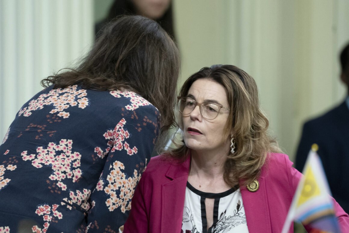 California lawmaker to soften fast-fashion emissions proposal