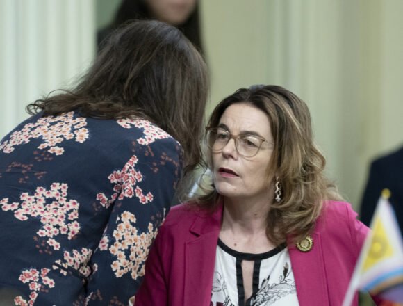 california-legislature-25429.jpg California lawmaker to soften fast-fashion emissions proposal