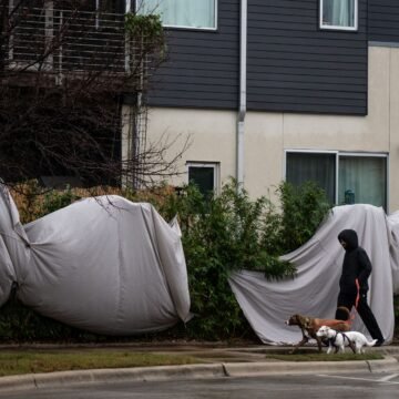 NWS warns of ‘near impossible’ travel in Austin area
