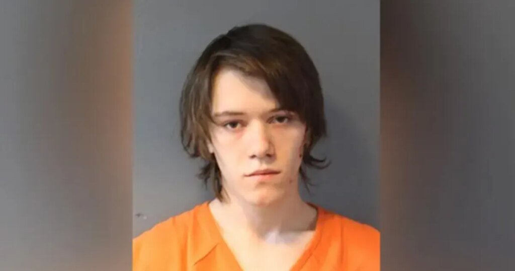 Brother killed after teen becomes 'enraged' over video game, stabs sibling: police