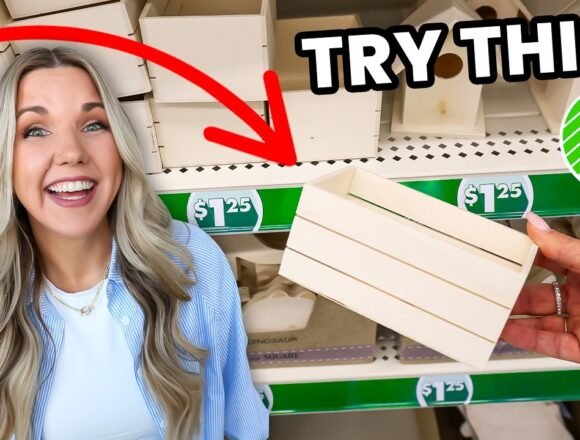 1771446495_maxresdefault.jpg 17 Dollar Tree Secrets You’ve Been Missing