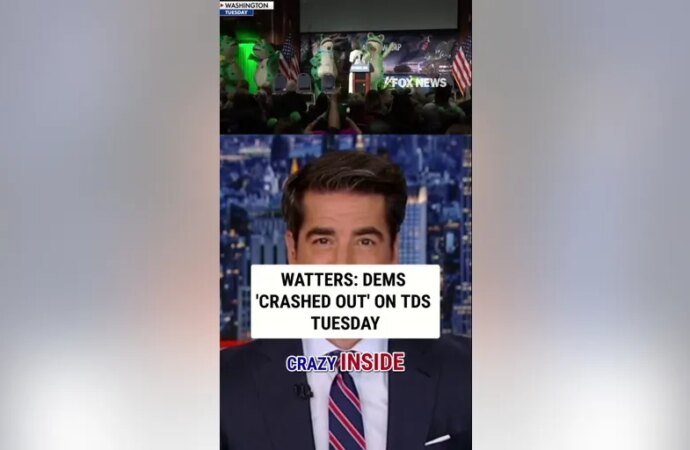 Watters: Dems 'crashed out' on TDS Tuesday | Fox News Video