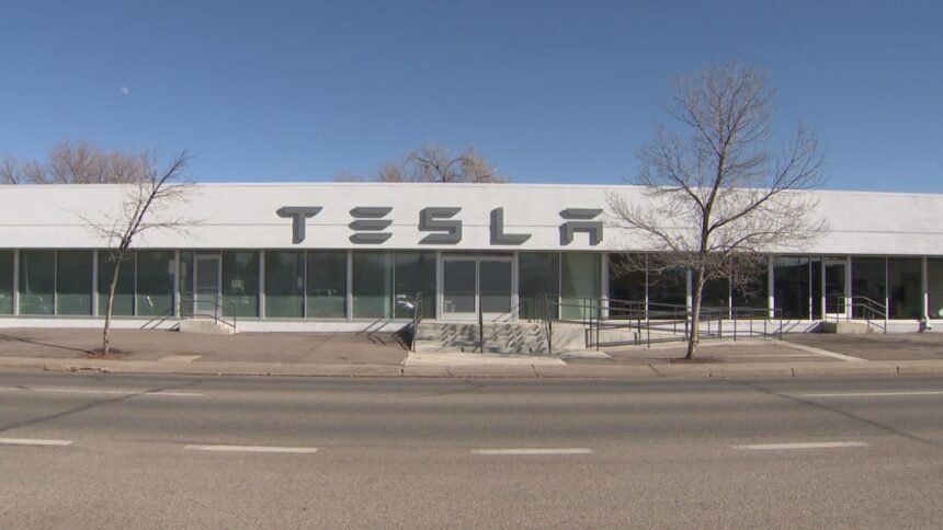 Despite being labeled a ‘domestic terrorist,’ Tesla vandalism suspect granted travel requests