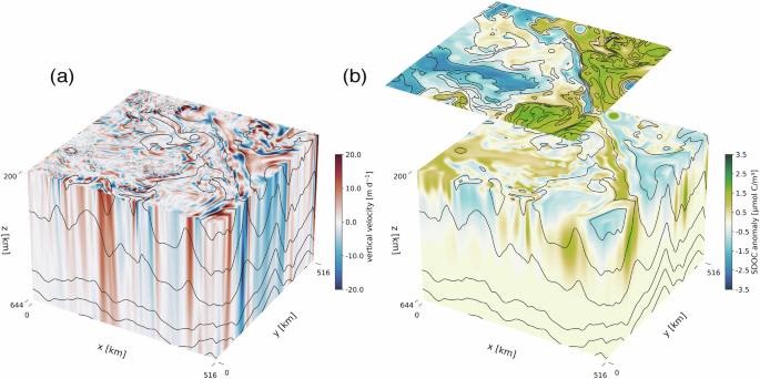 Physical controls on heterogeneous mesopelagic biogeochemistry